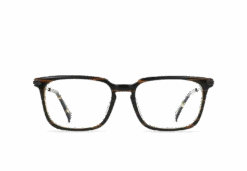 WILT-Stout + Brindle Tortoise / Clear-54