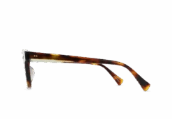 CY-Kola Tortoise + Juniper / Clear-49 -Raen Eyeglasses Store 200M213CY E910 49 A2