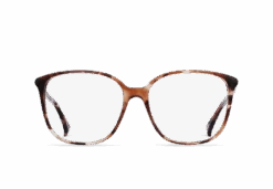 DAISEY-Almond Tortoise / Clear-57