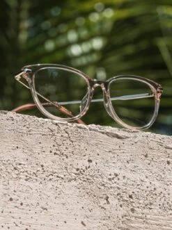 CELESTE-Ocelot + Satin Sunshine Gold / Clear-51 12 CELESTE-Ocelot + Satin Sunshine Gold / Clear-51 -Raen Eyeglasses Store CELESTE 2021 Ocelot Satin Sunshine Gold Clear L2