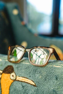 HANNY-Horizon Tahoe Tortoise / Clear-53 -Raen Eyeglasses Store HANNY SS24 Horizon Tahoe Tortoise Clear L2