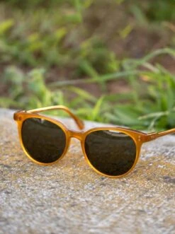 NORIE-Honey / Bottle Green-53 -Raen Eyeglasses Store NORIE 2021 Honey Bottle Green L1