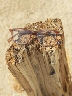 ROZIN-Crystal Black/Clear-50 -Raen Eyeglasses Store ROZIN FW23 Crystal Black Clear L3