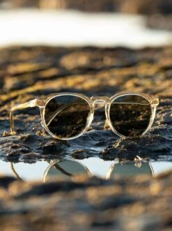 REMMY-Champagne Crystal / Green Polarized-52 16 REMMY-Champagne Crystal / Green Polarized-52 -Raen Eyeglasses Store Remmy 2021 Remmy Champagne Crystal Green Polarized L1