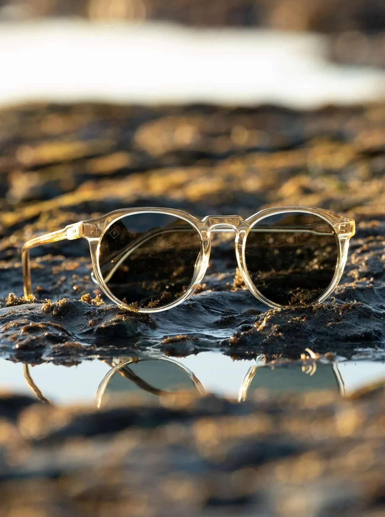 REMMY-Champagne Crystal / Green Polarized-52 7 REMMY-Champagne Crystal / Green Polarized-52 - Image 7