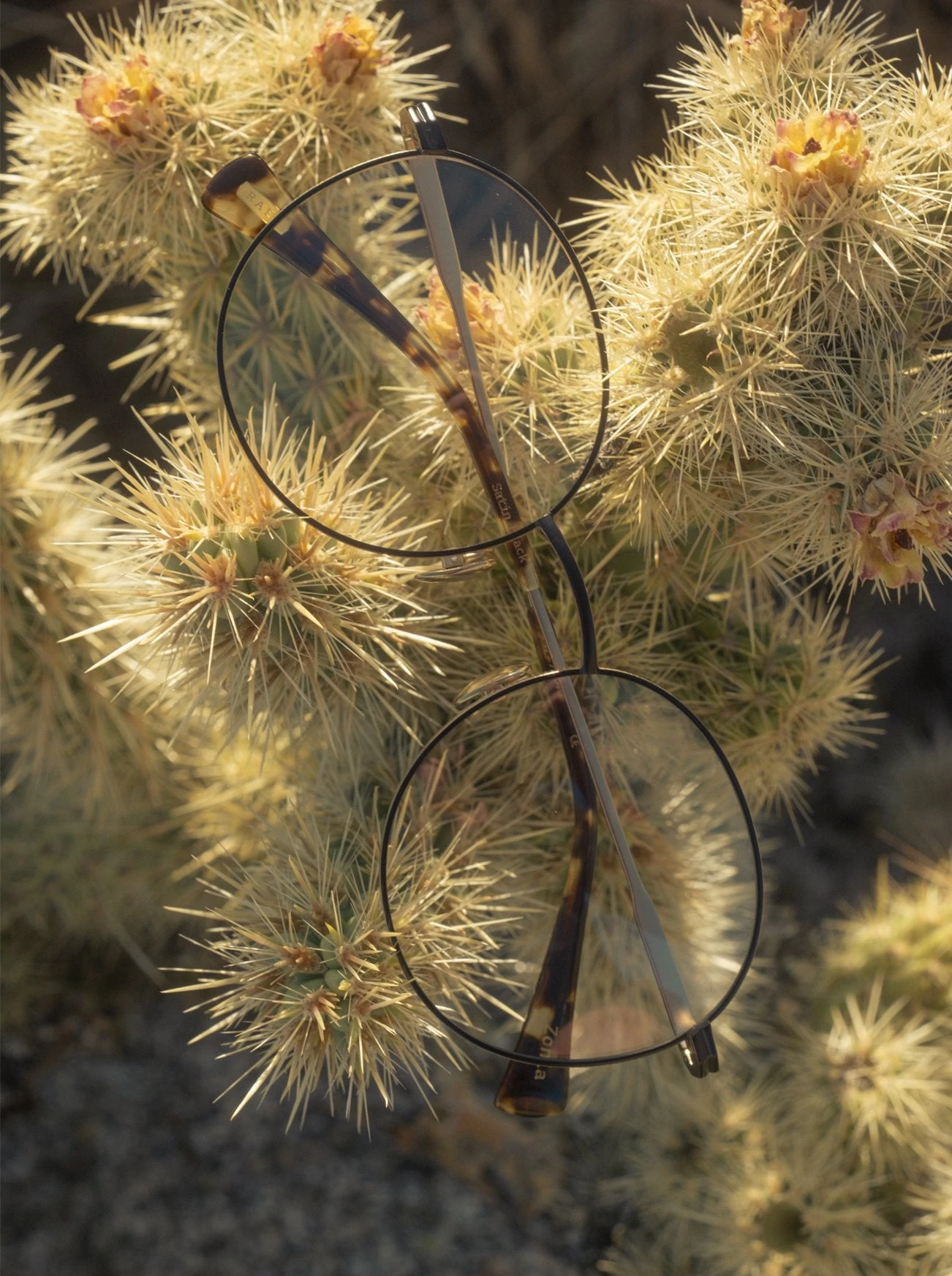 ZONIA-Rose Gold TBC/Baja-54 7 ZONIA-Rose Gold TBC/Baja-54 - Image 7